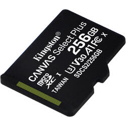 Kingston Micro SDXC Canvas Select Plus 100R, 256GB, Clasa 10, UHS-I