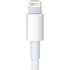 Cablu conector Apple MD824ZM/A, conector 30-pin, Lightning, 0.2m, Alb