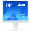 Monitor LED IIyama ProLite B1980SD-W1, 19.0 inch HD ready, 5ms, Alb