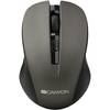 Mouse Canyon CNE-CMSW1, 1200 dpi, Wireless, Graphite