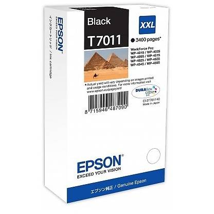 Cartus cerneala Epson T7011 Black, C13T70114010