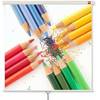 Ecran Proiectie Avtek Wall Standard de perete 200 x 200 cm, Manual, Format 1:1