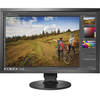 Monitor LED Eizo CS2420, 24", FHD, 15ms, Negru