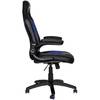 Scaun Gaming Nitro Concepts C80 Motion, Black/Blue