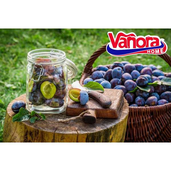 Vanora Borcan Depozitare din Sticla cu Capac, 500 ml