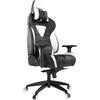 Scaun Gaming Gamdias Achilles M1 L, Negru/Alb