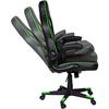 Scaun Gaming Inaza Interceptor, Negru/Verde