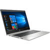 Laptop HP ProBook 450 G6, 15.6 inch FHD, Intel Core i5-8265U, 8GB DDR4, 1TB + 256GB SSD, GMA UHD 620, FreeDos, Silver