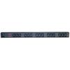 PDU APC Basic Rack PDU, 12x IEC 320 C13, 1x C20