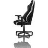 Scaun Gaming Nitro Concepts S300 EX Black/White