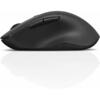 Mouse Lenovo 600 Wireless GY50U89282 Black