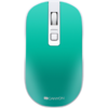 Mouse Canyon CNS-CMSW18A, USB Wireless, Green