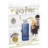 Memorie USB EMTEC M730 16GB USB 2.0 Harry Potter Ravenclaw