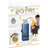 Memorie USB EMTEC M730 32GB USB 2.0 Harry Potter Ravenclaw