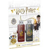 Memorie USB EMTEC M730 32GB USB 2.0 Harry Potter Gryffindor & Hogwarts Set 2 bucati