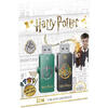 Memorie USB EMTEC M730 32GB USB 2.0 Harry Potter Slytherin & Hogwarts Set 2 bucati