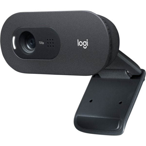 Camera WEB Logitech C505e, Negru