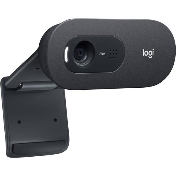 Camera WEB Logitech C505e, Negru