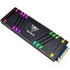 SSD PATRIOT Viper VPR100 256 GB PCI Express 3.0 x4 M.2 2280 RGB