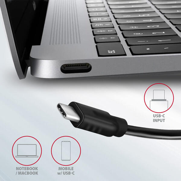 Hub USB AXAGON 2x USB 3.2 + 2x USB Type C, 10Gbps