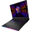 Laptop Gaming MSI Raider GE78 HX 14VHG, 17 inch QHD+ 240Hz, Intel Core i9 14900HX, 32GB DDR5, 2TB SSD, GeForce RTX 4080 12GB, Win 11 Pro, Core Black