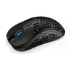 Mouse gaming ENDORFY LIX Wireless Black
