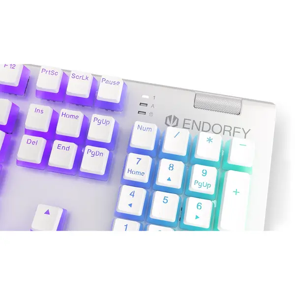 Tastatura gaming ENDORFY Omnis Pudding Onyx White RGB Kailh Red Swtich Mecanica