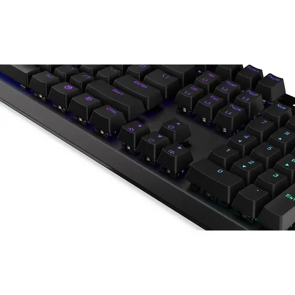 Tastatura gaming ENDORFY Thock RGB PBT Kailh Red Switch Mecanica
