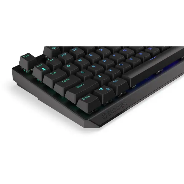 Tastatura gaming ENDORFY Thock RGB PBT Kailh Red Switch Mecanica