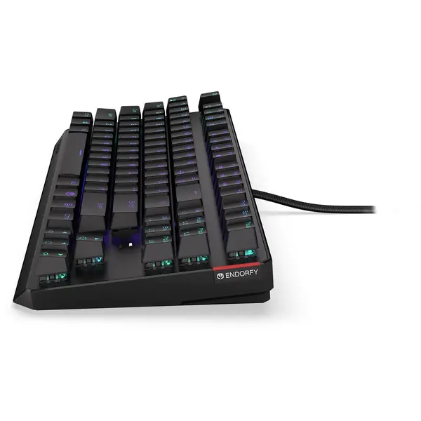 Tastatura gaming ENDORFY Thock TKL RGB PBT Kailh Brown Switch Mecanica