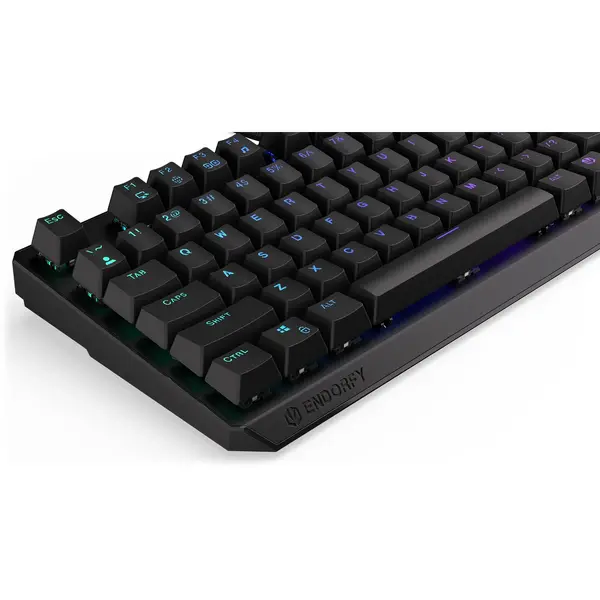Tastatura gaming ENDORFY Thock TKL RGB PBT Kailh Brown Switch Mecanica
