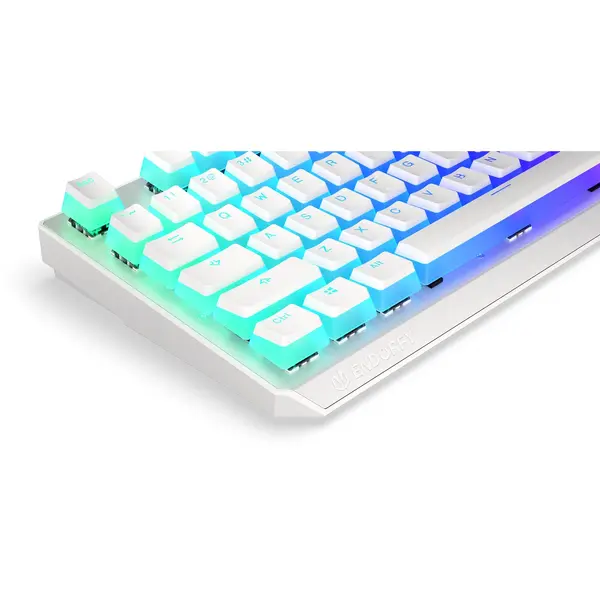 Tastatura gaming ENDORFY Thock Wireless Onyx White Pudding RGB Kailh Box Red Switch Mecanica