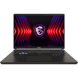 Vector 17 HX A14VIG, QHD+ 240Hz, Intel Core i9 14900HX, 32GB DDR5, 1TB SSD, GeForce RTX 4090 16GB, Cosmos Gray