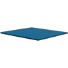 Pad termic Thermal Grizzly Minus Pad Advance, 100x100x1.5 mm, 2 buc.