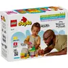 LEGO DUPLO 10457 Winnie the Pooh's Birthday Party