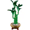 LEGO ICONS 10344 The Botanical Collection - Lucky Bamboo