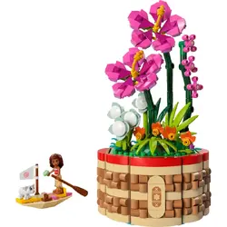 DISNEY 43252 Moana's Flowerpot