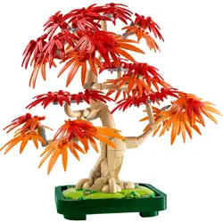 BOTANICALS 10348 Japanese Red Maple Bonsai Tree