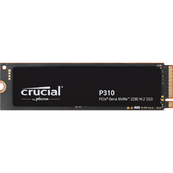 P310, 4TB, PCIe Gen 4 x4, M.2 2280