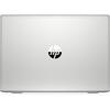 Laptop HP ProBook 450 G7, 15.6 inch FHD, Intel Core i5-1135G7, 8GB DDR4, 256GB SSD, Intel UHD, Silver
