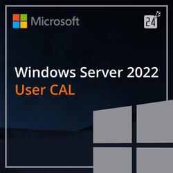 Microsoft Windows 2022 Server, Engleza, 1 CAL User