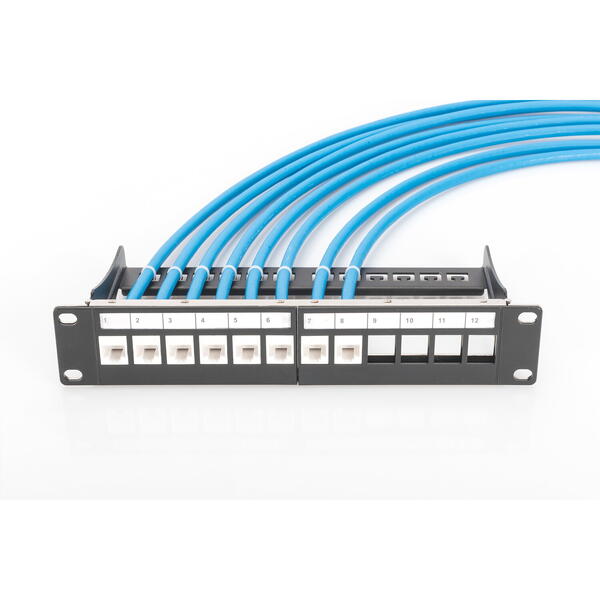 Patch Panel Digitus Professional DN-91420 12 port 1U, 10 inch