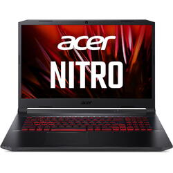 Nitro 5 AN517-41-R037, 17.3 inch FHD IPS 144Hz,  AMD Ryzen 9 5900HX, 32GB DDR4, 1TB SSD, nVidia GeForce RTX 3070 8GB, No OS, Shale Black
