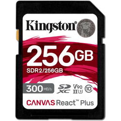 Canvas React Plus SDXC 256GB Class 10