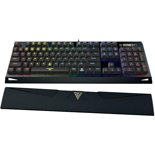 Tastatura gaming Tastatura gaming mecanica Gamdias Hermes P1 neagra iluminare RGB switch-uri negre