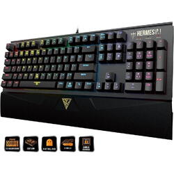 Tastatura gaming mecanica Gamdias Hermes P1 neagra iluminare RGB switch-uri negre
