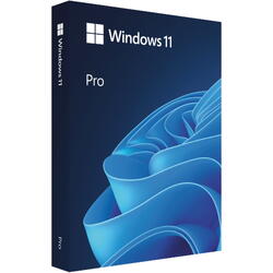 Windows 11 Pro, 64-bit, Engleza, Retail/FPP, USB Flash