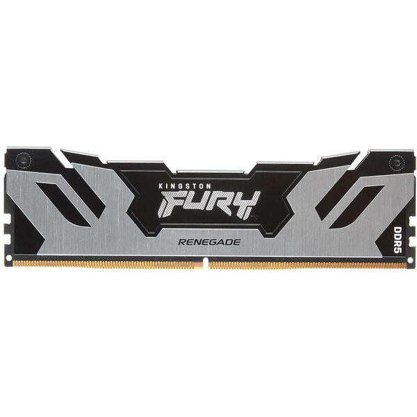 Memorie Kingston FURY Renegade Silver 16GB DDR5 6000MHz CL32