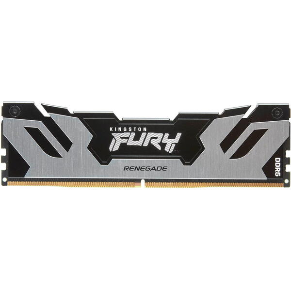 Memorie Kingston FURY Renegade Silver 16GB DDR5 6400MHz CL32