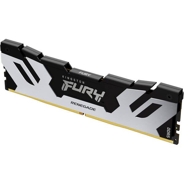 Memorie Kingston FURY Renegade Silver 16GB DDR5 6400MHz CL32